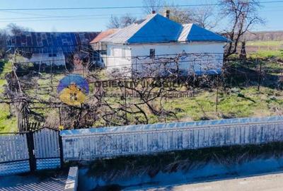 CASA traditionala BODESTII DE JOS - 7
