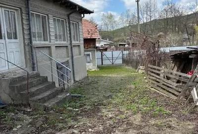 Casă cu Teren 3384 Mp în Bârsănești - 1