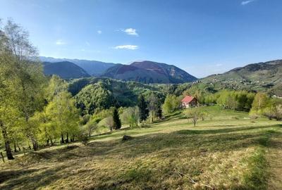 Teren Construcții intravilan de 11048 mp, în Peștera - 2