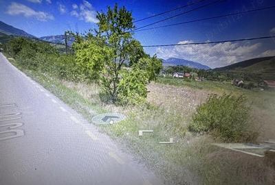 Vand teren sat Valisoara,Jud Alba, (langa Cheile Valisoarei) - 1