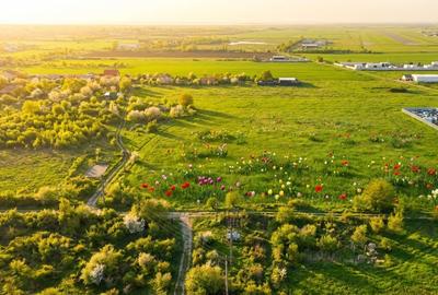 Teren Construcții intravilan de 3900 mp, în Bragadiru - 9