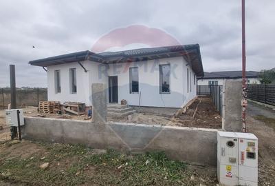 DE VANZARE - Casa 4 camere in Campia Vlasiei/Darza - 1