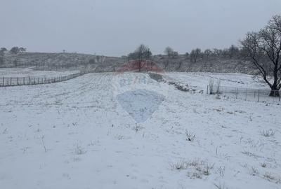 Teren Construcții intravilan de 8300 mp, în Negrești (Dobreni) - 2