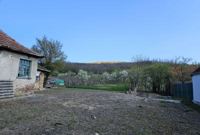 Casă cu 2 camere în Chioag - 7