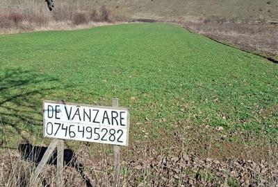 Spațiu comercial, în Țețchea - 3