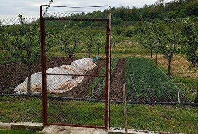 Casă cu 3 camere cu Teren 3500 Mp în Central - 3