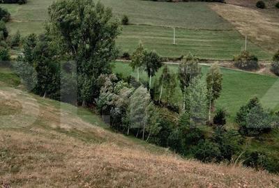 Casa de vacanta, 4 camere, teren 18000mp - 6