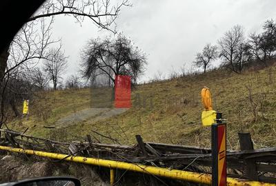 Teren intravilan 3214 mp  în Rucăr cu deschidere 56 m în DN73 - 7