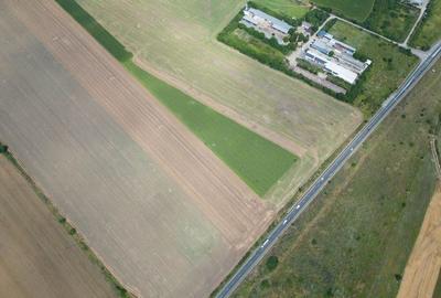 Teren extravilan 12.000 mp DN79 Arad-Oradea - 10