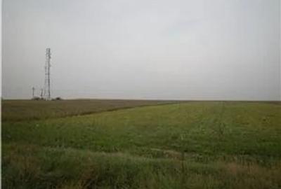 Ghimpati, Giurgiu. Teren Agricol, DN 6 - 5