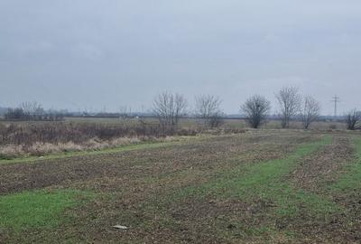 Vanzare Teren construibil 600mp 1 Decembrie Ilfov - 6