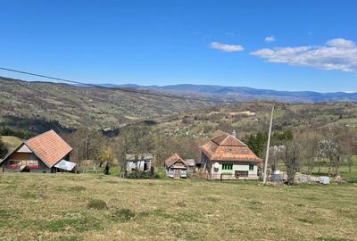 Teren de 23000 mp, în Sohodol - 4