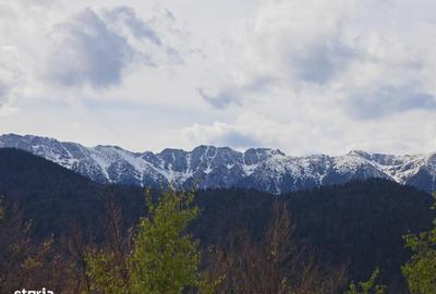 Casă cu 4 camere în Peștera - 1