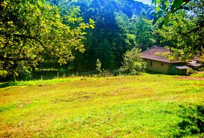 CASA si 2393 mp TEREN INTRAVILAN, Muntii Apuseni, NEGRENI - CLUJ la 1 km de E60 - 1
