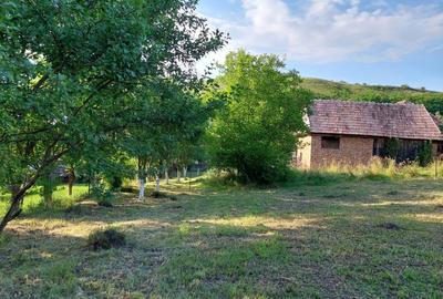 Spațiu comercial, în Corușu - 1