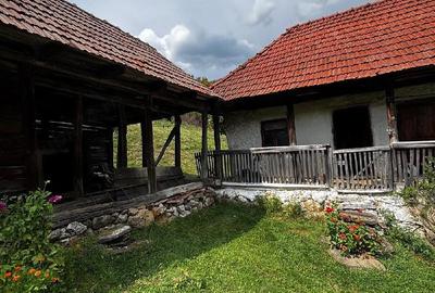 Casă cu 3 camere cu Teren 6000 Mp în Boiu - 3