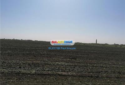 Teren Construcții intravilan de 25000 mp, în Corbeanca - 2