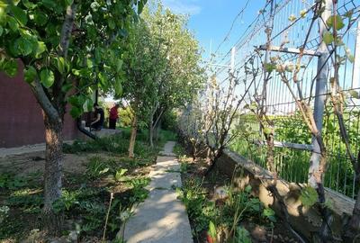 Casă cu 5 camere cu Canalizare în Brănești - 6