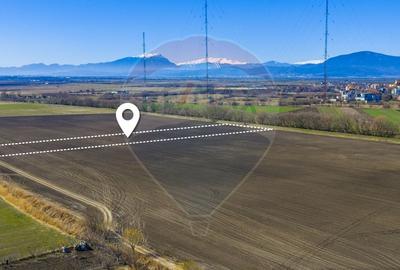 Teren agricol extravilan de 10000 mp, în Bod - 1