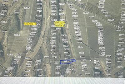 Teren de 10000 mp, în Văcăreni - 3