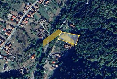 Teren Construcții intravilan de 2635 mp, în Săvârșin - 5