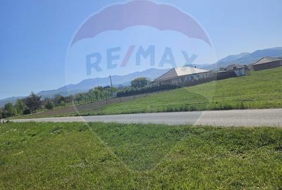 Teren de 1780 mp, în Bocicoiu Mare - 2