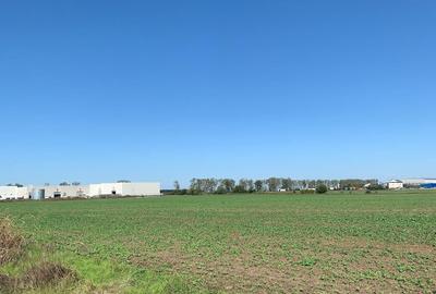 Teren Construcții intravilan de 52900 mp, în Afumați - 9