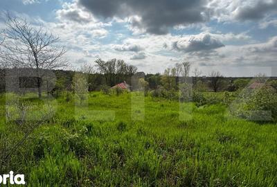 Teren de 990 mp, în Cârcea - 2