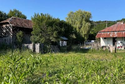 Casă cu 3 camere în Central - 4