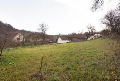 RECO Casa de vacanta la Holod- langa padure- teren 2190mp - 12