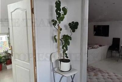 Bragadiru - McDonalds Alexandriei Vanzare apartament 3 camere Toate utilitatile - 7