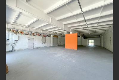 Spatii multiple pentru inchiriat Calea Timisoarei - 8