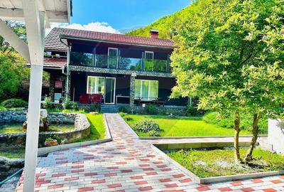 Cabana / casa de vanzare in Baisoara, 285 MP ! Piscina! Ciubar! Cabana / casa de vanzare in Baisoara, 285 MP ! Piscina! Ciubar! - 1