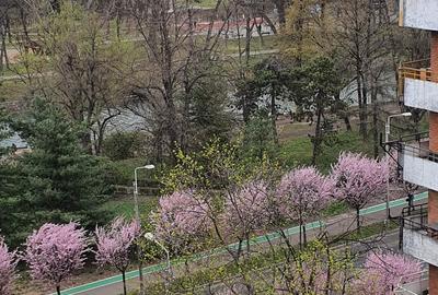 Apartament cu 2 camere decomandat, mobilat în Complex Studențesc - 1