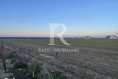 Teren de 500 mp, în Nojorid - 4