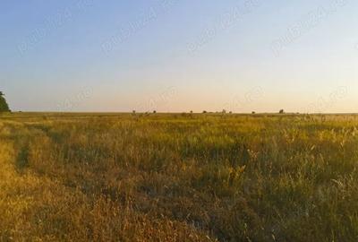 Teren de 20000 mp, în Colareț - 1