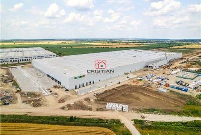 Spațiu comercial, de 10,000 mp, în Bolintin-Deal - 10