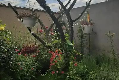 Casă cu Teren 300 Mp în Chiajna - 6