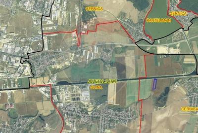 Teren intravilan - 27.400 mp in Cernica - 6