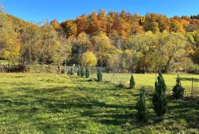 Teren de 1350 mp, în Gârcina - 4