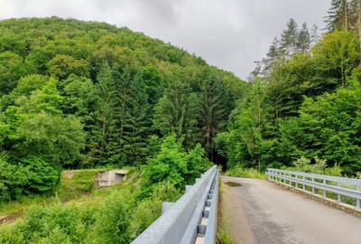 2,64 Ha TEREN SUPERB pe malul raului Crisul Repede padure parau NEGRENI - CLUJ - 16
