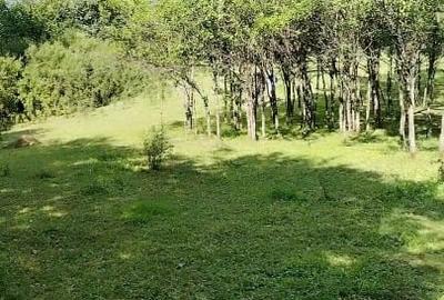 Teren extravilan de 7104 mp, în Șișești - 9