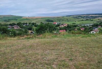 Teren de 1022 mp, în Dorobanț - 7