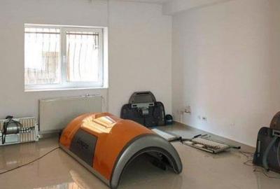 Casă individuală cu 10 camere în Scriitorilor - 17