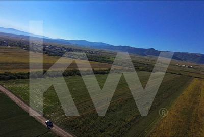 Teren de Vanzare - 18.459 mp cu Potential de Investitie! Cristian- Sibiu - 6