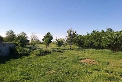 Teren de 1237 mp, în Săcălaz