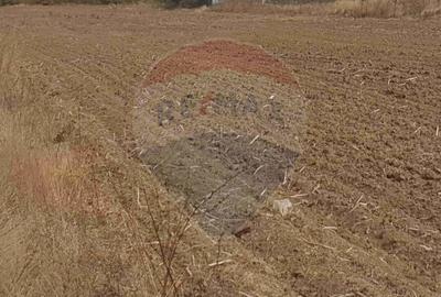 Teren intravilan 3,261mp Balotesti / Strada Rozelor - 3