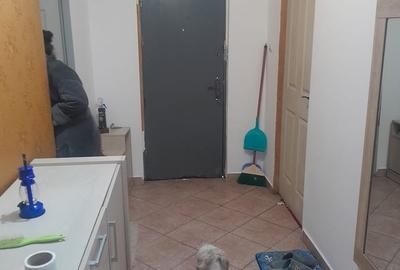 Casă cu 5 camere cu Teren 200 Mp în Pantelimon - 12