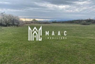 Teren extravilan | Cristian | 11.500 mp - 2
