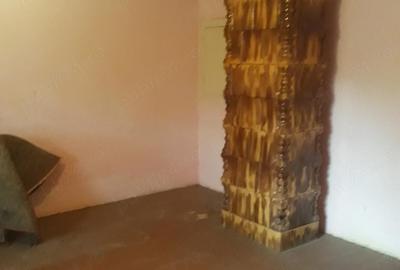 Casă cu 4 camere cu Teren 1130 Mp în Uivar - 12